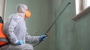 Mold Remediation for Vacation Homes in Corvallis, OR